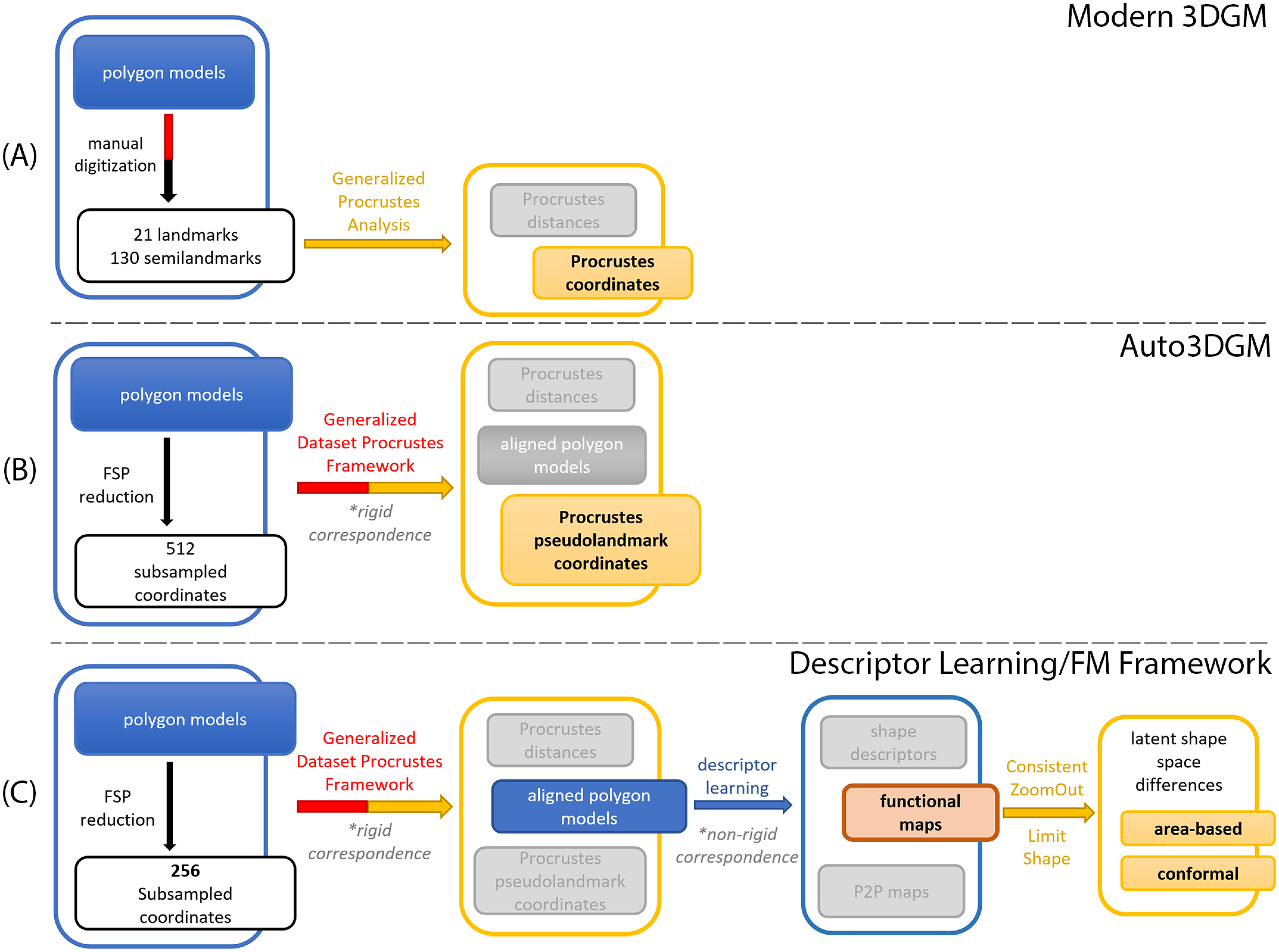 Functional-map pipeline diagram