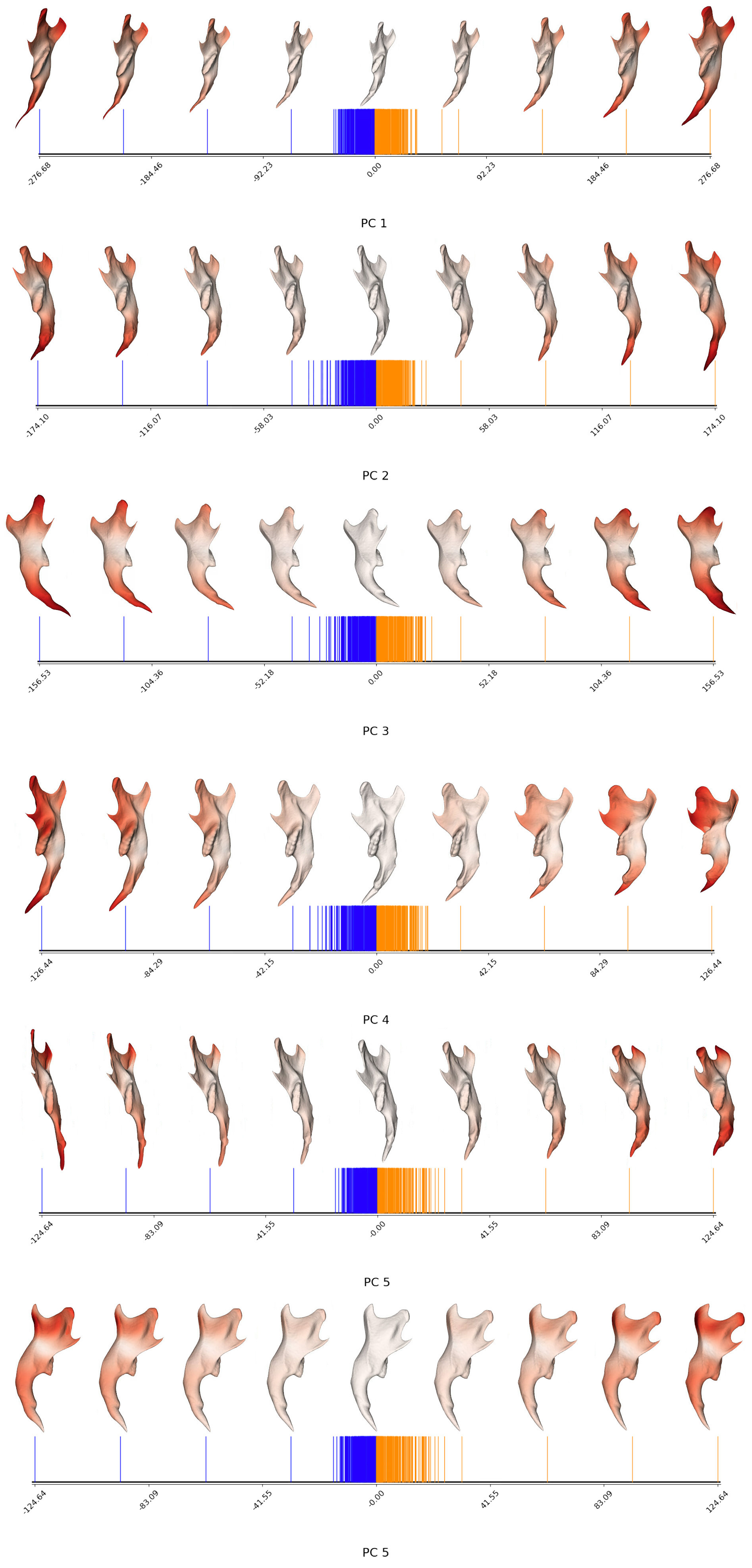 Template warped mandible along the first five principal components of the latent space. Each PC is extended beyond the natural range of variation to better illustrate the shape differences on each PC. Red shading on the mandible surfaces highlights regions that deviate more strongly from the mean shape at zero.
