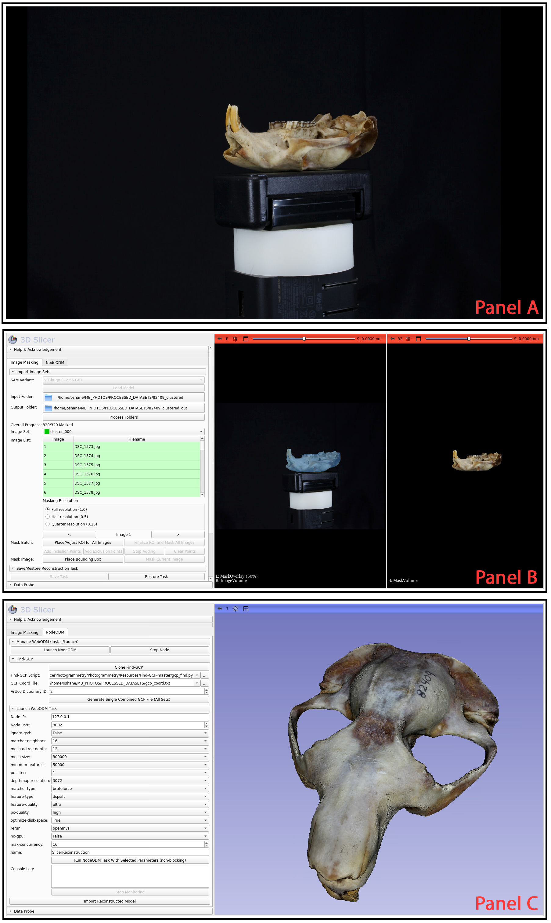 Functional-map pipeline diagram